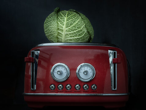 A lonely fresh savoy cabbage put on a red retro styled toaster on dark background. Whole head of organic savoy cabbage, Space for text, Selective focus.