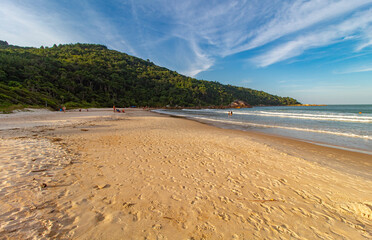 paisagem tropical da Praia Grande  Caravelas Governador Celso Ramos Santa Catarina Brasil