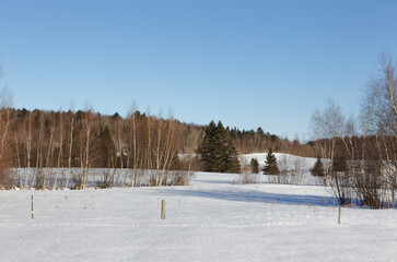 Fototapeta na wymiar Snow covered pasture
