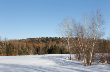 Snow covered farm fields