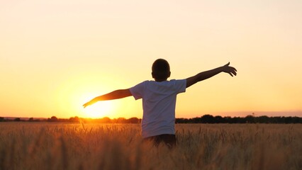 Overjoyed male teenager speed running on wheat field picturesque sunset sunrise bright sun light...