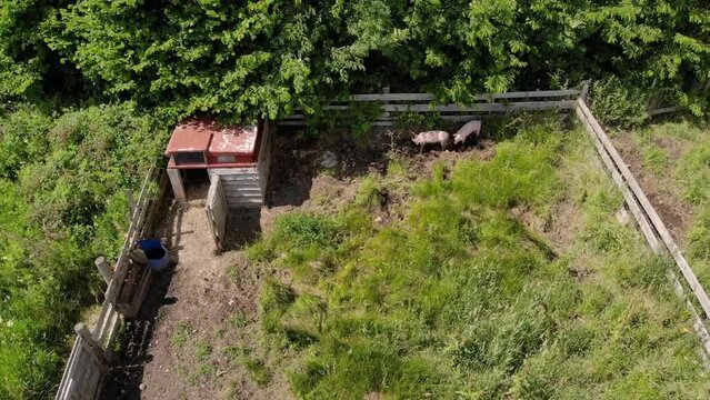 Aerial view of a pig pen