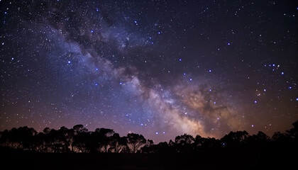 Fototapeta premium A star-filled night sky over a silhouette of trees in a remote wilderness area