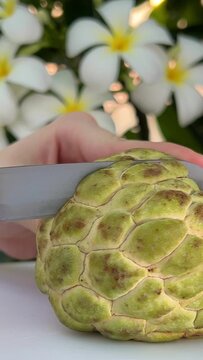 noina underneath the segmented green peel is a white and sweet filling. noina fruit Ripe noina fruit or Custard apple also known as sugar apple on a table