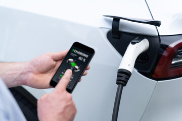 Modern eco-friendly man recharging electric vehicle from EV charging station, using Innovative EV...