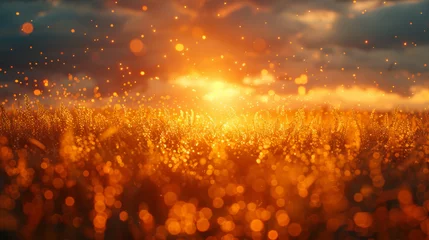 Gordijnen Golden glitter dust in a field at sunset. © Synaptic Studio
