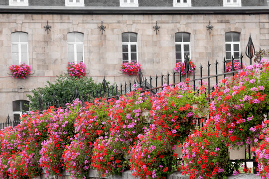 &Uuml;ppiger Blumenschmuck am Rathaus, Guingamp