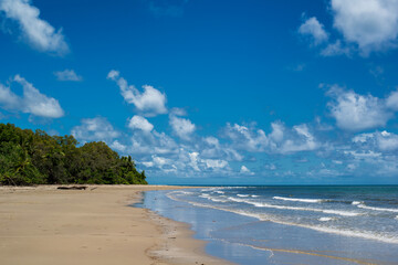 Immerse yourself in the pristine beauty of the Coral Sea coast within the enchanting Daintree National Park, Queensland.
