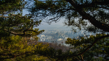 Cityscape seen through pine trees view from mountain Achasan.