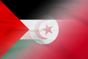 Palestinian National Authority and Tunisia political flag international negotiation TUN PSE