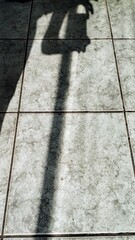 shadows on the ground