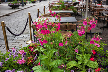 Flower arrangements are common place in public areas around Oslo, Norway
