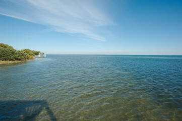 Obraz premium View out from Bay Vista Park pier east towards Tampa Bay on a sunny afternoon in St. Petersburg, FL. Sunlight and shade of pier in blue water and peaceful. Green mangroves and boat dock jetty.