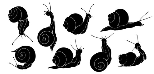 A set of silhouettes and stencils of snails. Vector graphics.