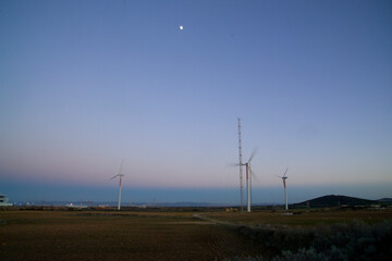 Obraz premium wind turbines farm, Pale eoliche. Stintino, Fiume Santo. SS. Sardegna. Italia