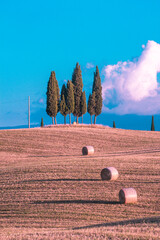 Beautiful Toscany (Tuscany) landscape view in Italy - Val D'Orcia Valley