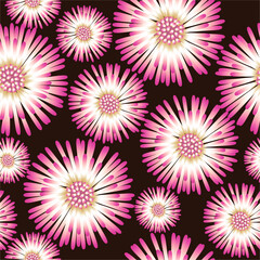 Seamless pattern with pink flowers similar to asters on a dark background. Vector graphics for fabric or background.