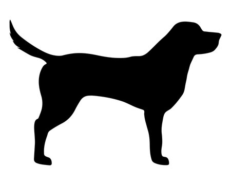 Labrador silhouette, vector black of a dog