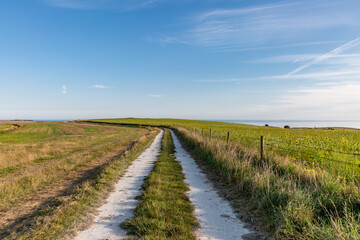 Fototapeta na wymiar Looking along a chalk pathway in the South Downs with the sea in the far distance