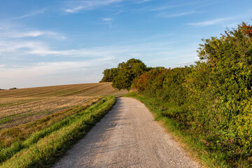 Fototapeta na wymiar A pathway alongside farmland in the South Downs, on a sunny September evening
