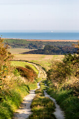 A rural Sussex view lookng towards the sea, on a sunny September day - 744881790