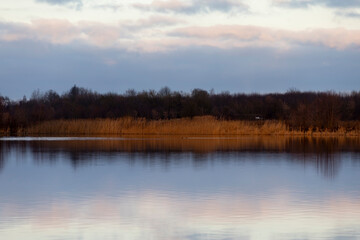 Fototapeta premium a large lake in winter in the morning during sunrise