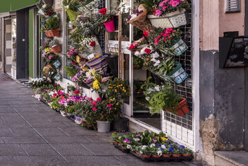 An empty street with the facade of a local flower shop full of fresh plants