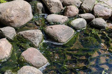water flowing in a small narrow stream in summer