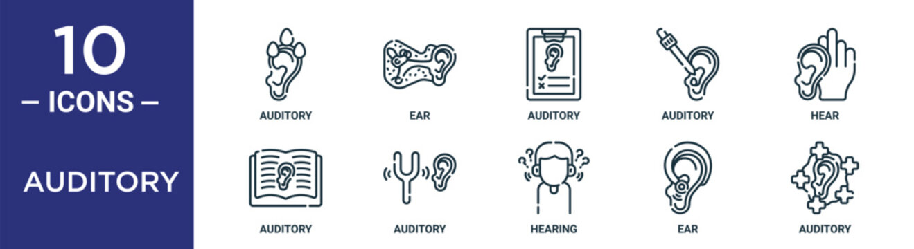 auditory outline icon set includes thin line auditory, auditory, hear, ear, icons for report, presentation, diagram, web design