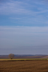 agricultural fields in winter after the snow melts