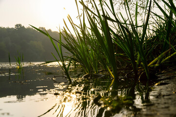 The river during the dawn in autumn , the waves on the river