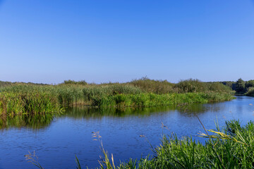 a wide river in sunny weather in early autumn
