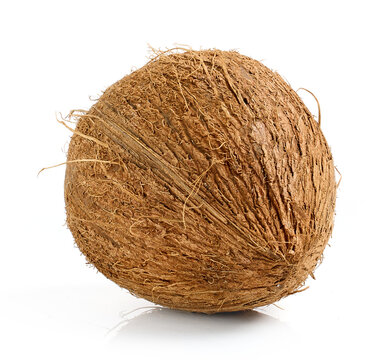 fresh coconut fruit