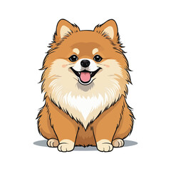 Cute pomeranian dog on white background. Vector illustration.