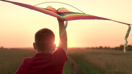 child kid boy runs joyfully, controlling flying kite whose ribbons flutter sunset, child kid holds...