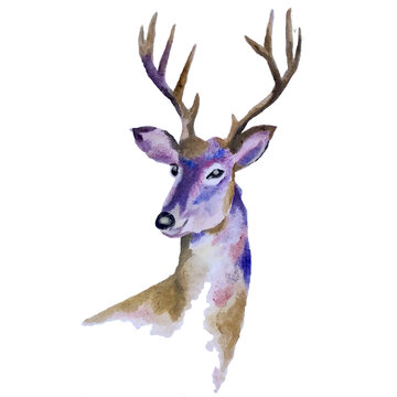 abstract watercolor painting of deer