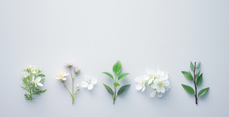 Fototapeta premium Serene floral composition on pastel background for wedding card invitation