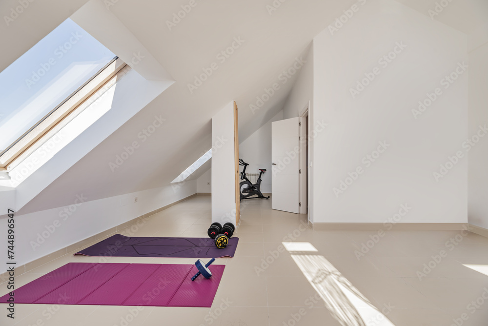 Wall mural An attic of a residential home with a gym located on the upper floor with skylights