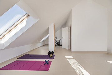 An attic of a residential home with a gym located on the upper floor with skylights
