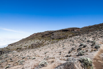 Fototapeta premium A Rocky Terrain Under the Clear Blue Sky, Kilimanjaro