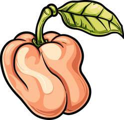 Cashew Apple Fruit An Underutilized Resource with Promising Economic Opportunities