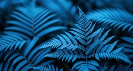  Vibrant fern leaves in a close-up shot