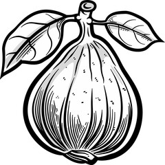 Fig Chronicles Tales of Love Legends and Culinary Adventures