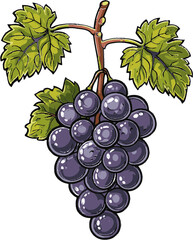 Fototapeta premium Investigating the Role of Grape Skin Anthocyanins in Cardiovascular Health Promotion