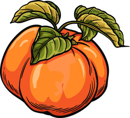 Preserving Heritage Revitalizing Ancient Persimmon Cultivation Techniques