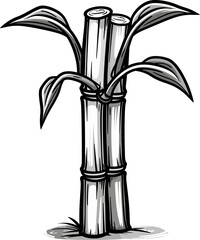 Sugarcane Fruit Alchemy Transforming Stalks into Sweet Magic