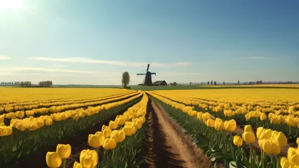 Meubelstickers tulip field and windmill under a bright sun. The horizon is dotted with windmills and farmhouses. © Tri