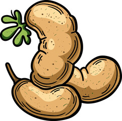 Tamarind Tales Ancient Fruit Modern Marvel