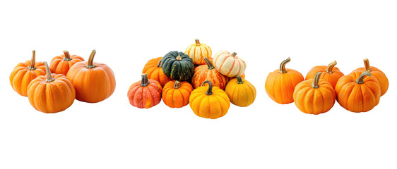 Pumpkins isolated on transparent background