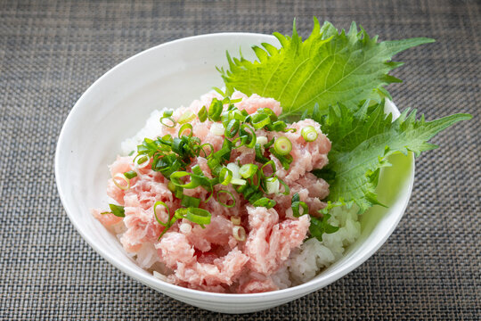 食品サンプル 鉄火丼 Food 大人しく model